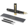 Перьевая ручка PARKER DUOFOLD CLASSIC CENTENNIAL F77, Black / Gold (Перо F)