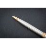 Шариковая ручка PARKER ESSENTIAL SONNET STAINLESS STEEL GT M